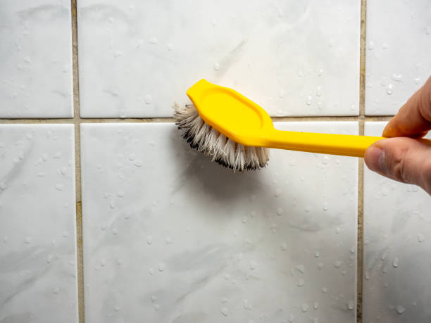 Best Affordable Mold Removal  in Elizabeth, CO