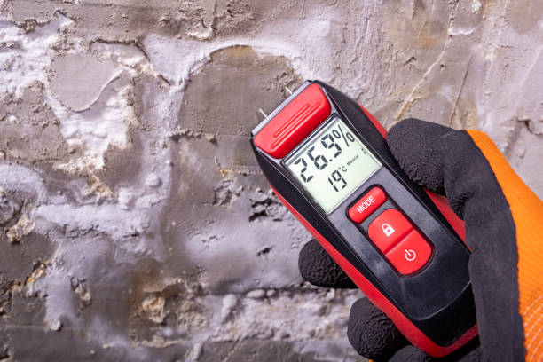 Best Crawl Space Mold Removal  in Elizabeth, CO